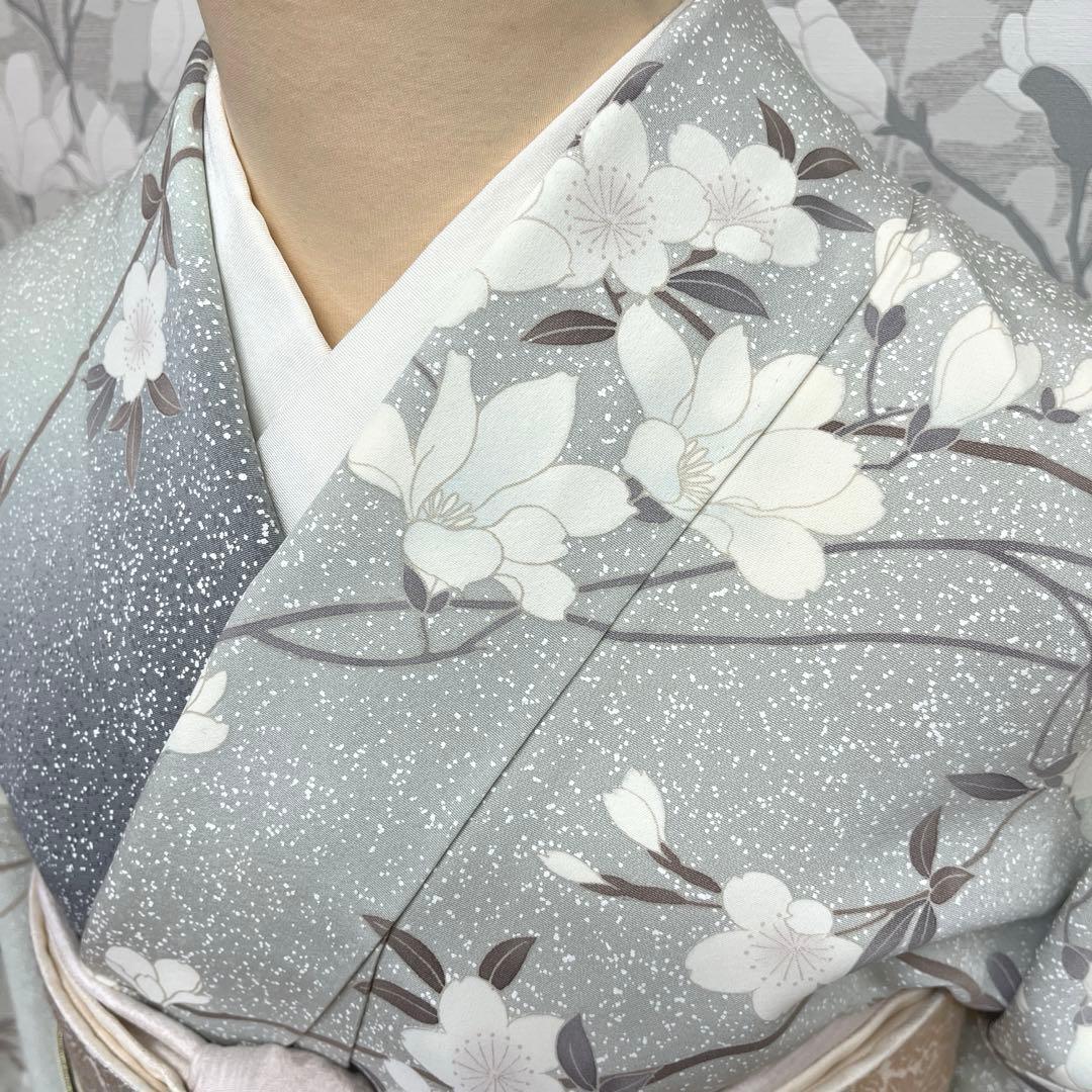 正絹 訪問着 椿桜木蓮 伊と幸 長襦袢おまけ