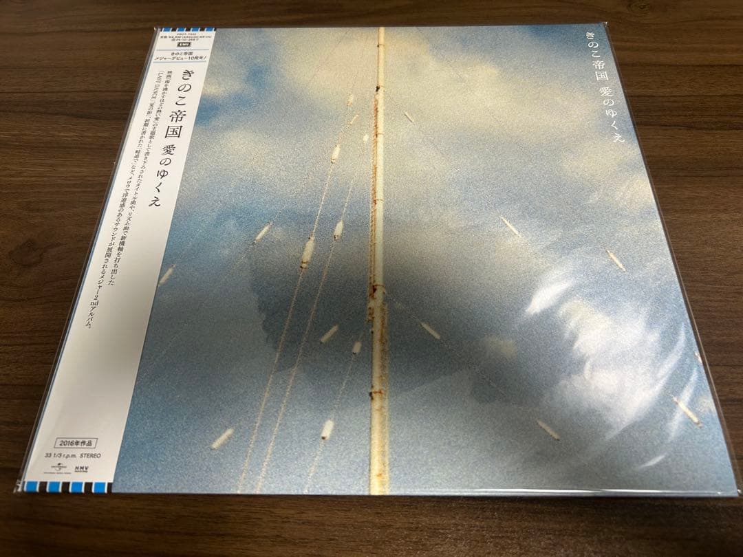 きのこ帝国 アナログ レコード 3枚セット