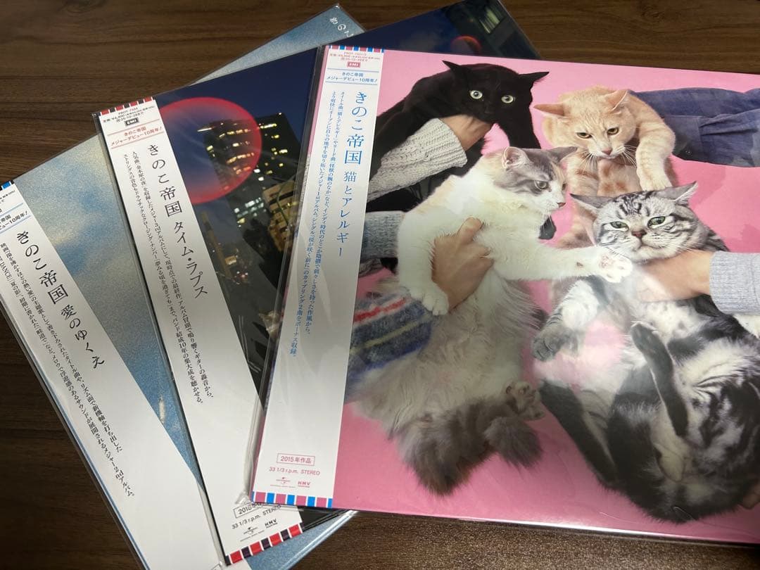 きのこ帝国 アナログ レコード 3枚セット