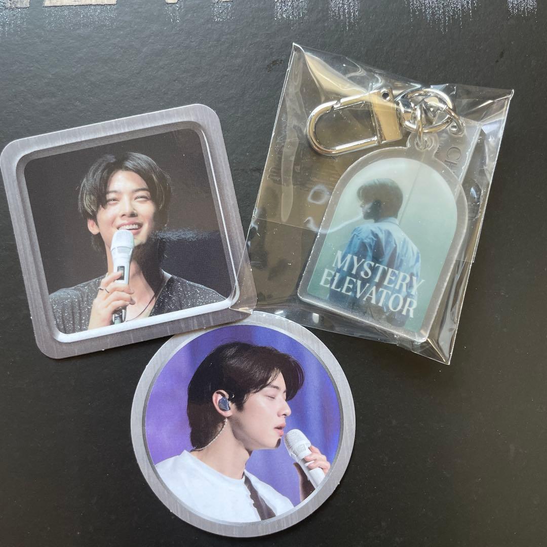 チャウヌ [Mystery Elevator] in Seoul DVD