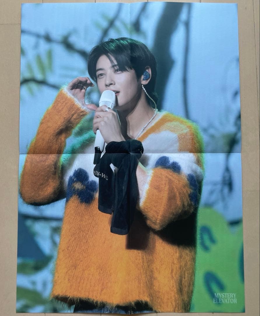 チャウヌ [Mystery Elevator] in Seoul DVD