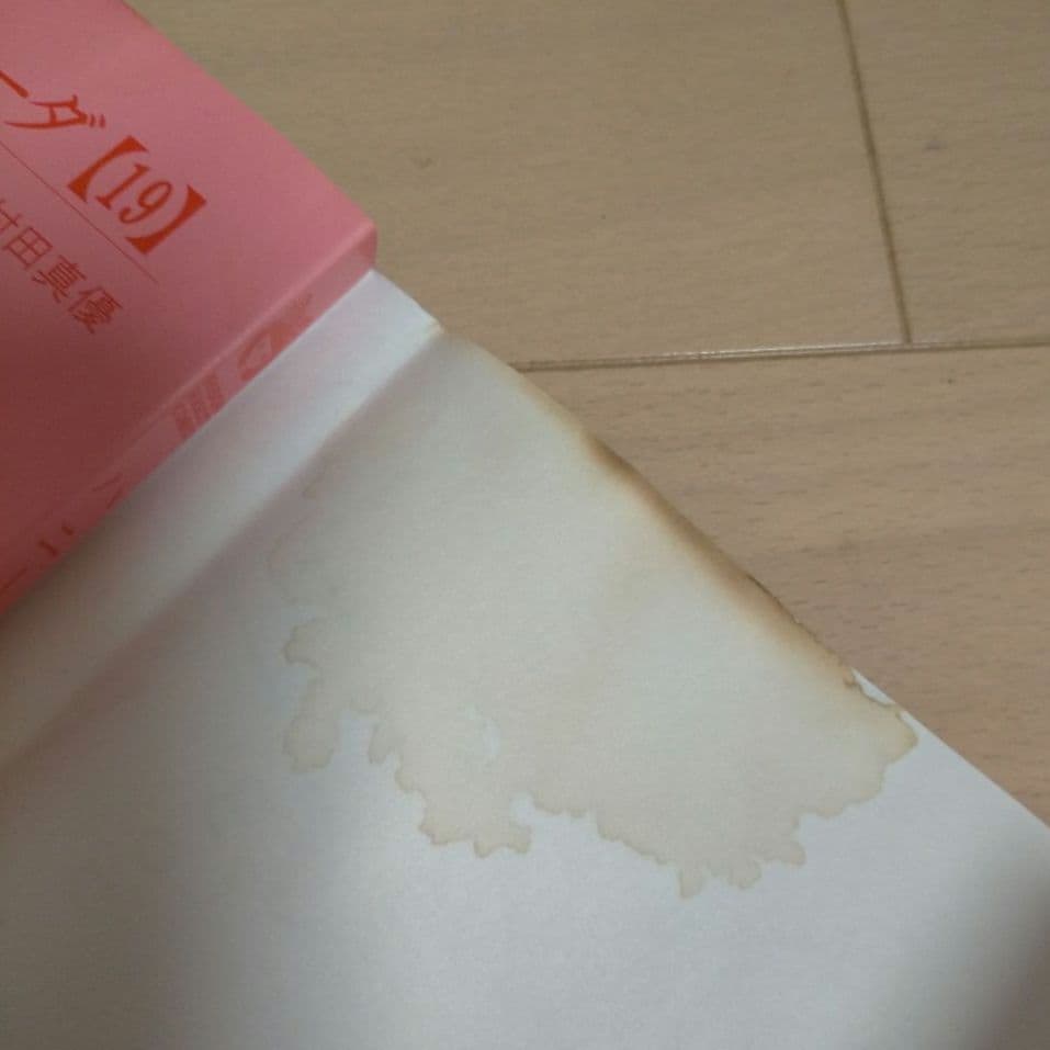 「ハニーレモンソーダ」1〜27巻　サイドストーリー