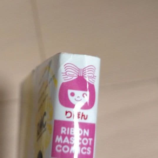 「ハニーレモンソーダ」1〜27巻　サイドストーリー