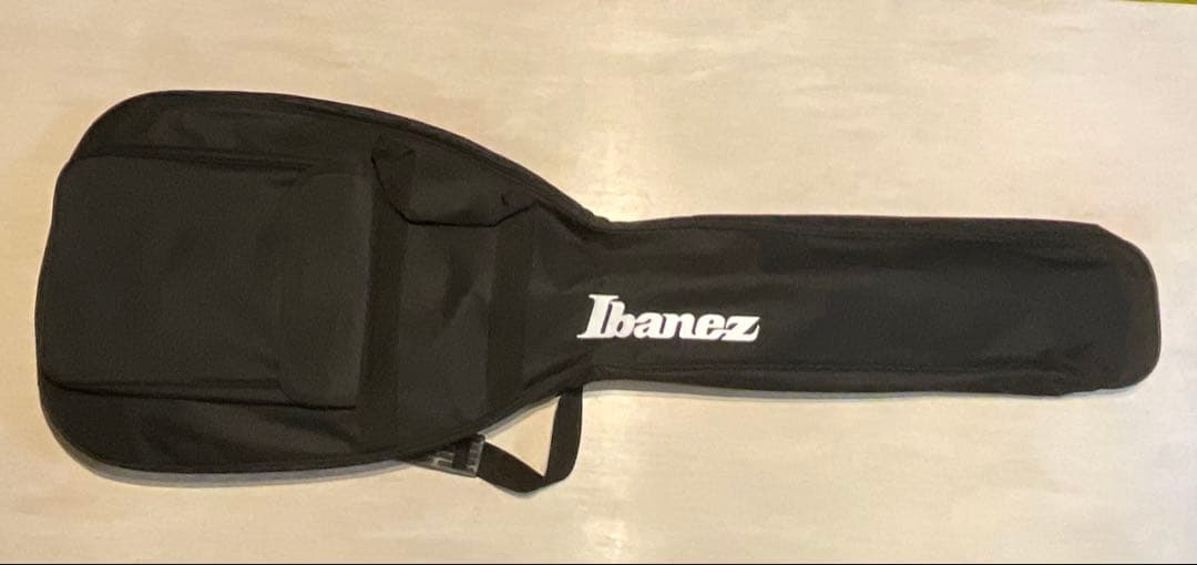 5弦フレットレス エレキベース Ibanez/SRH505F NNF