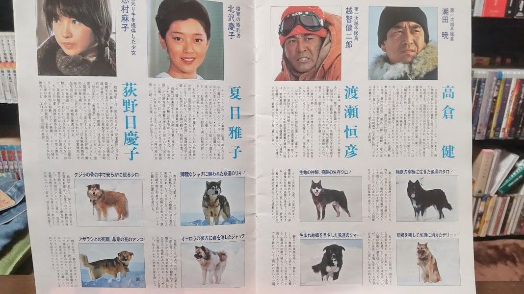 南極物語DVDと当時のパンフレット