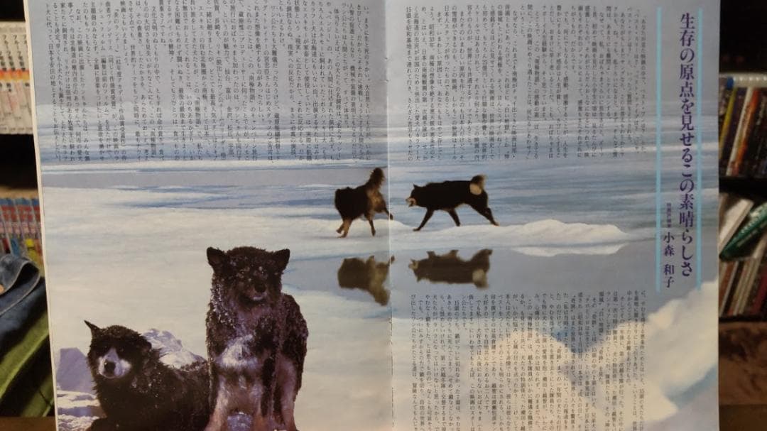 南極物語DVDと当時のパンフレット