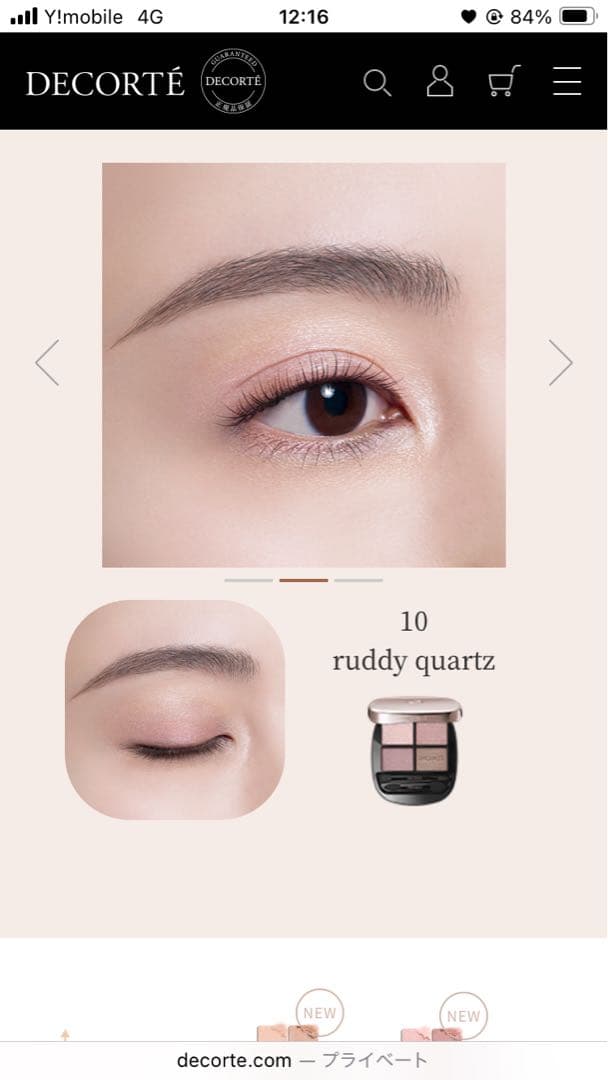 ⭕️本日限定値下げ⭕️コスメデコルテ　スキンシャドウデザイニングパレット　10