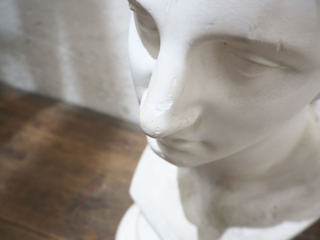 1228 石膏像　ミロのヴィーナス　胸像　オブジェ　デッサン　美術　インテリア