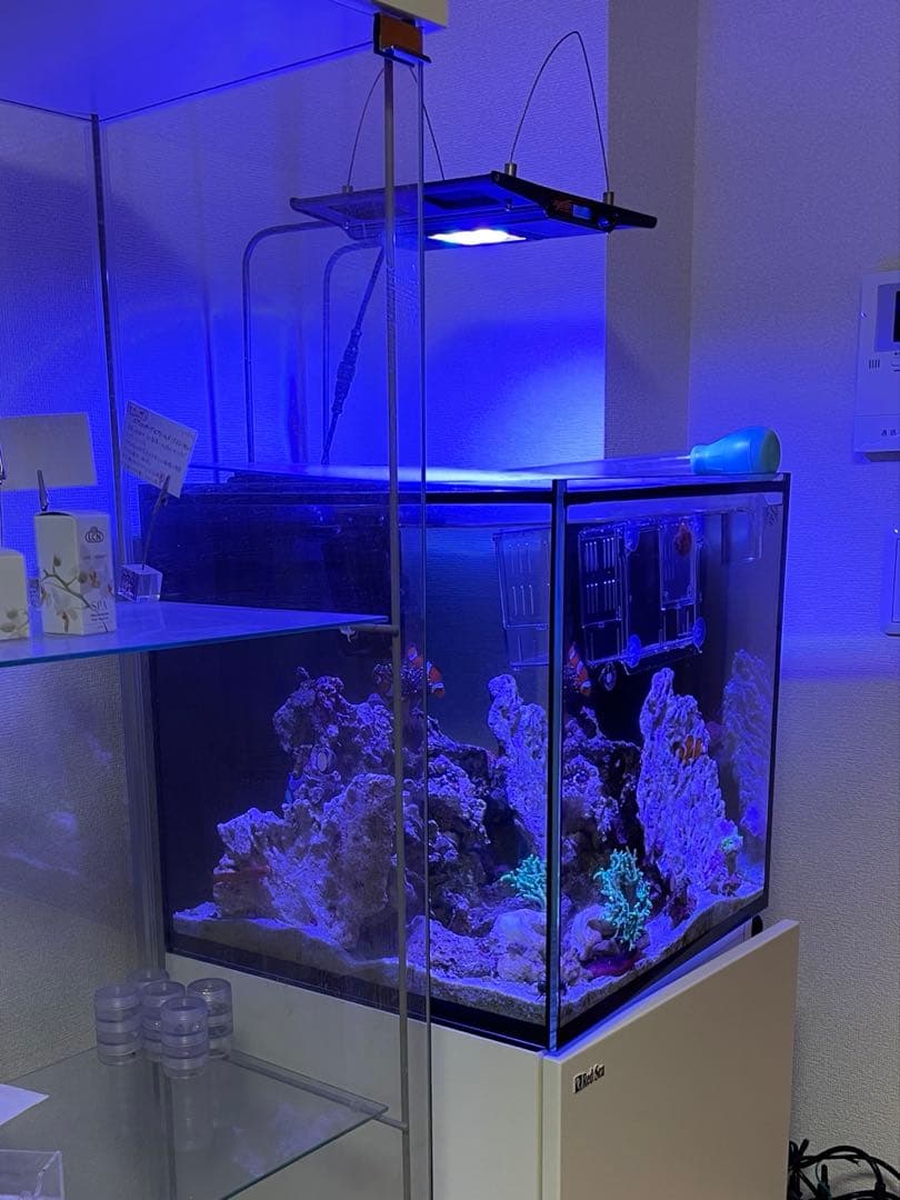 Maxspect R420r nano LED70w15000kマックススペクト