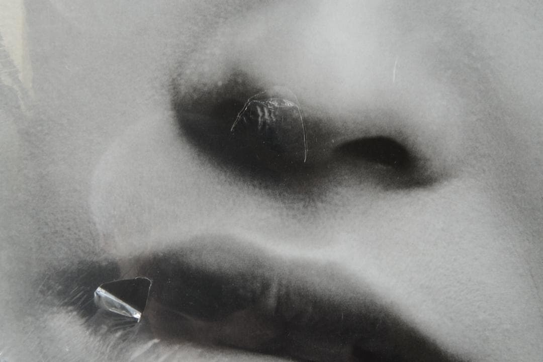 【Si Tomatsu：Skin of the Nation 東松照明】