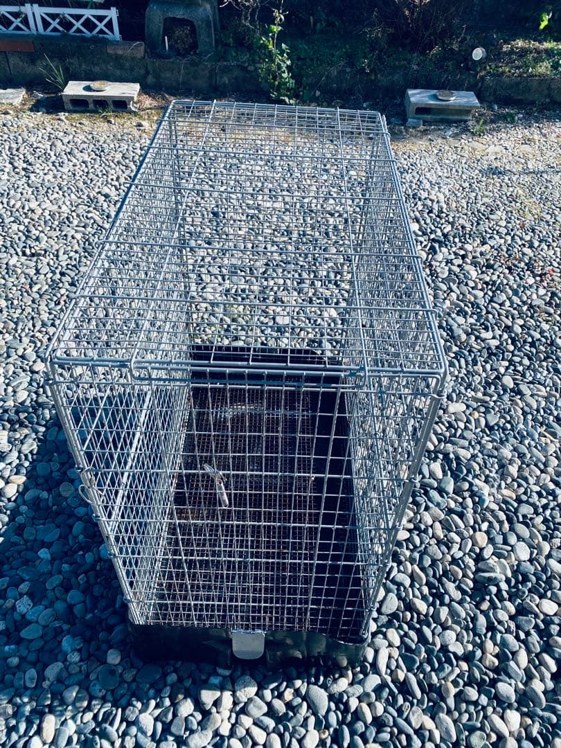 サンコー　イージーホーム80 ハイ　チンチラやデグーなどに