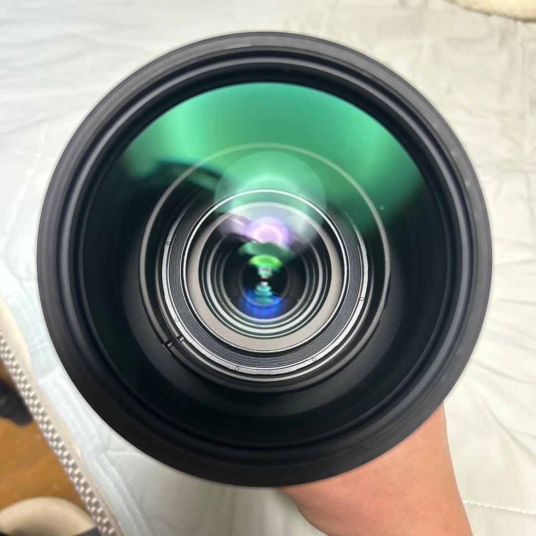 Sigma 150-600mm contemporary キヤノン用