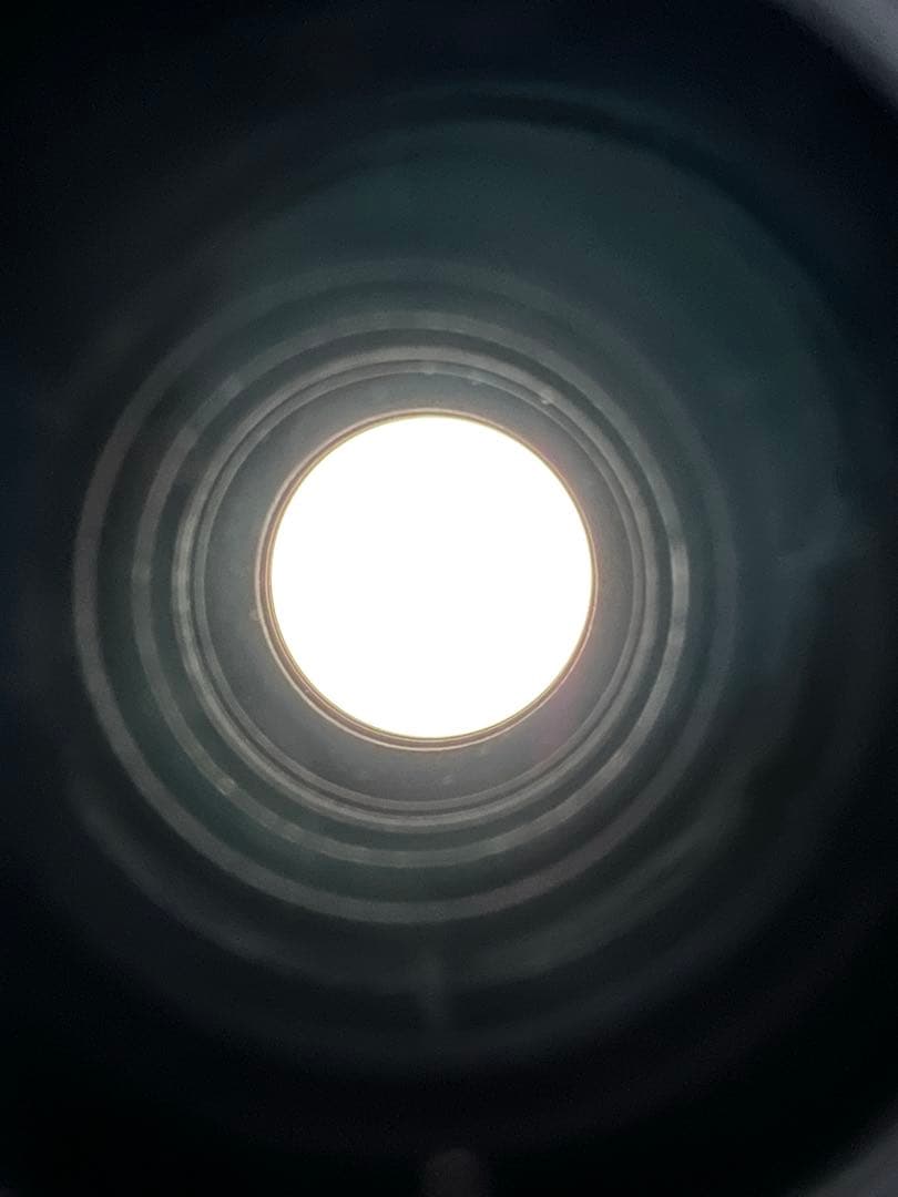 Canon EF-S 55-250mm F4-5.6 IS STM 美品