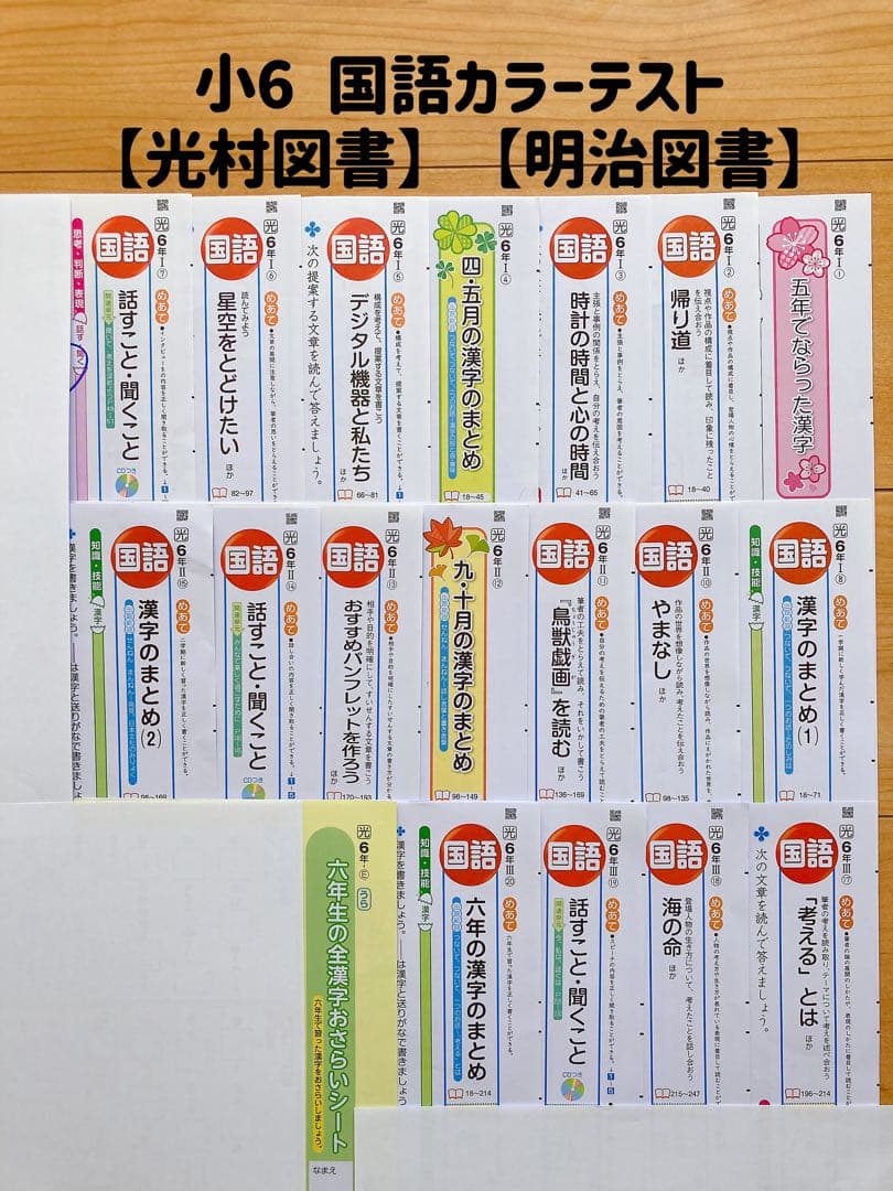 【小6】国語カラーテスト【光村図書】【明治図書】
