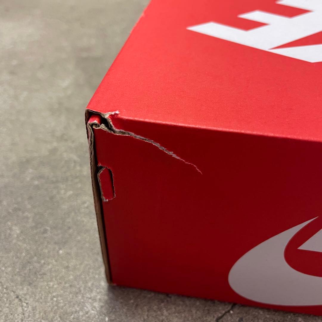 Nike Women's Shox TL AR3566-401 24㎝