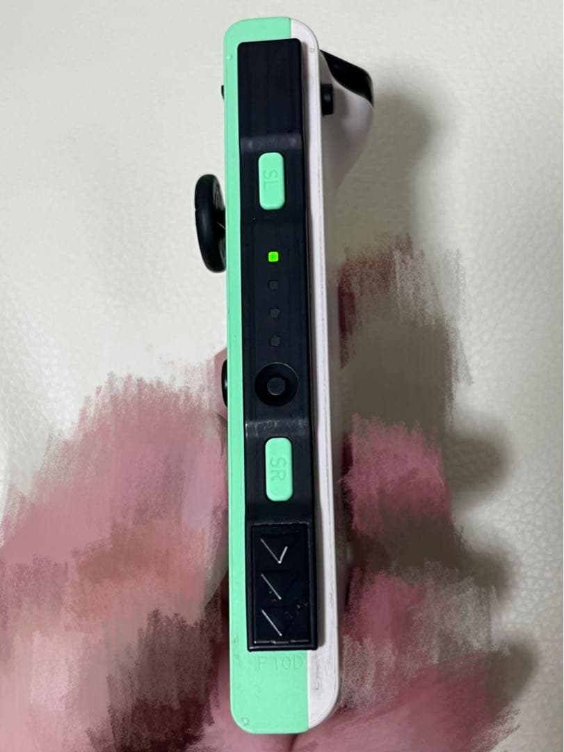 Nintendo Switch 本体　あつまれ どうぶつの森　【国内公式品】