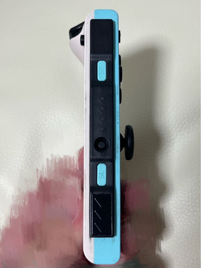 Nintendo Switch 本体　あつまれ どうぶつの森　【国内公式品】