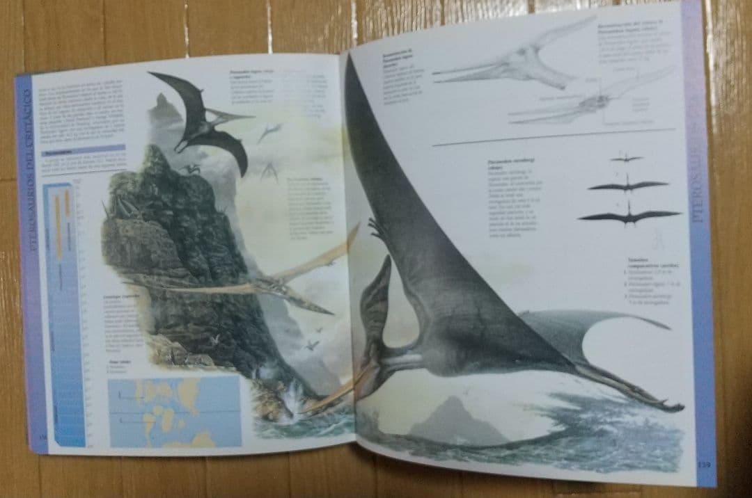 洋書　恐竜図鑑(スペイン語)　2冊セット