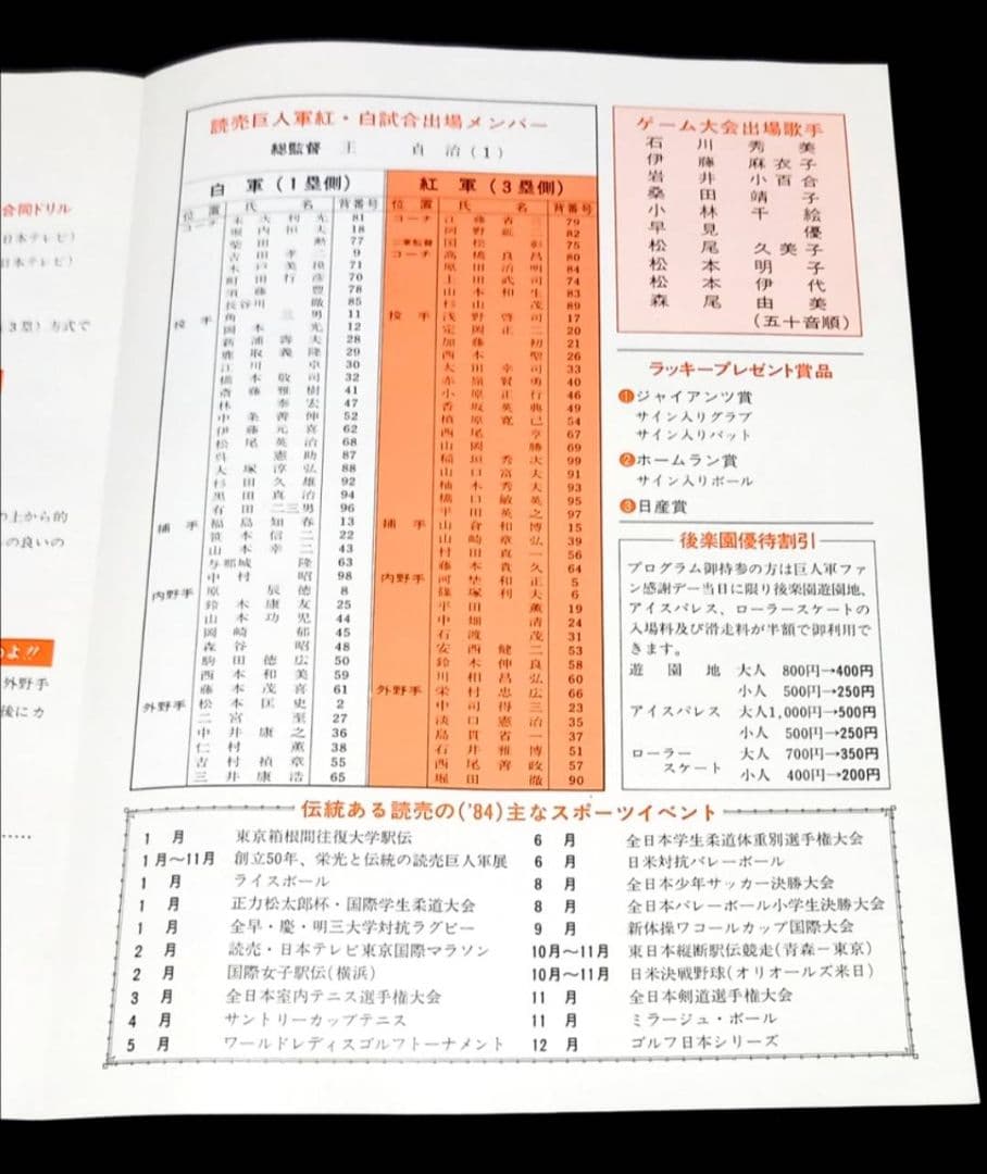 読売ジャイアンツ ファン感謝デー プロ野球 大運動会 フライヤー チラシ