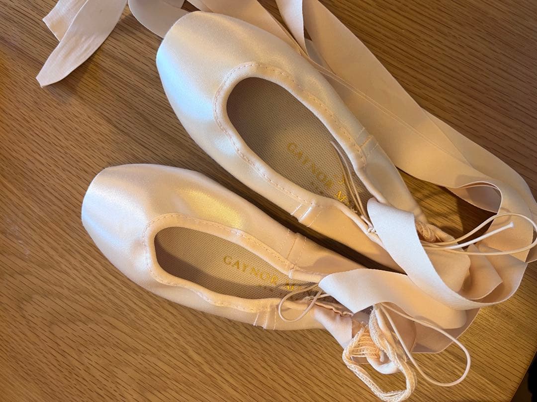 Gaynor Minden トゥシューズ　CL-7N3SDH