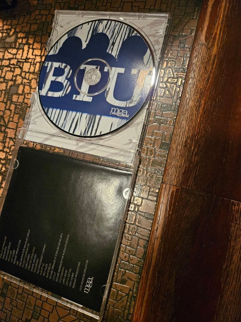 ミュージック BROTHERS IN UNITY  Believe  cd