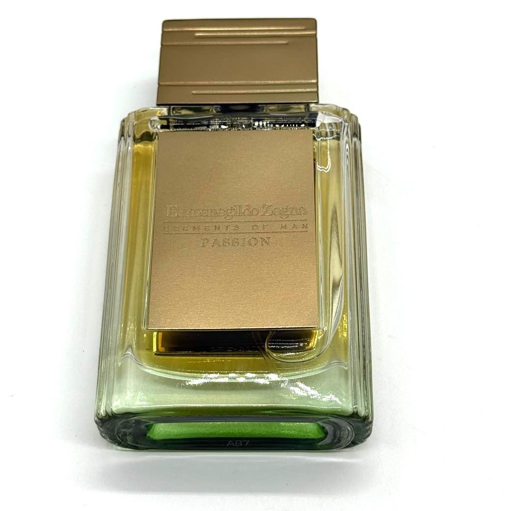 Ermenegildo Zegna エレメンツ オブ マン パッション