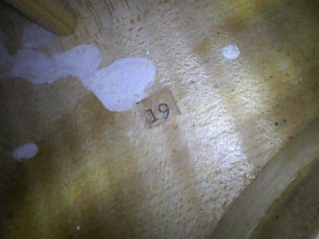 ほげ　ビオラ　15.5インチ　Franz Kirschnek