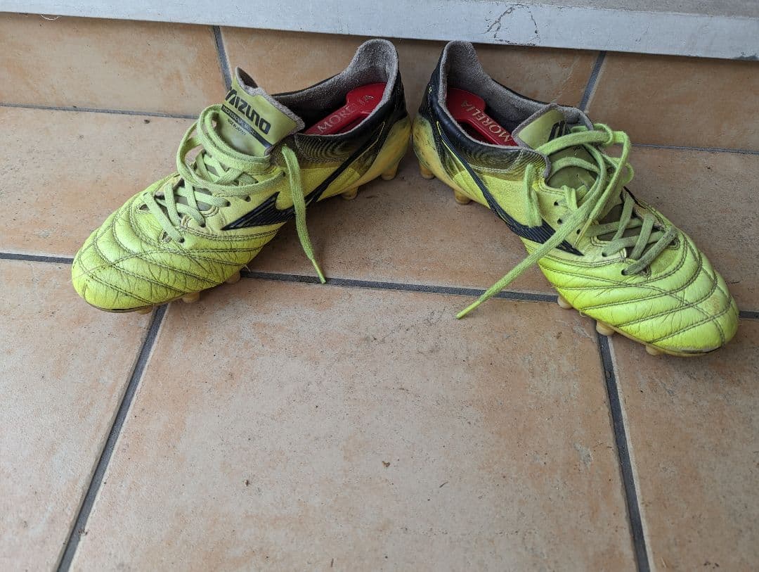 モレリアネオ2 蛍光色