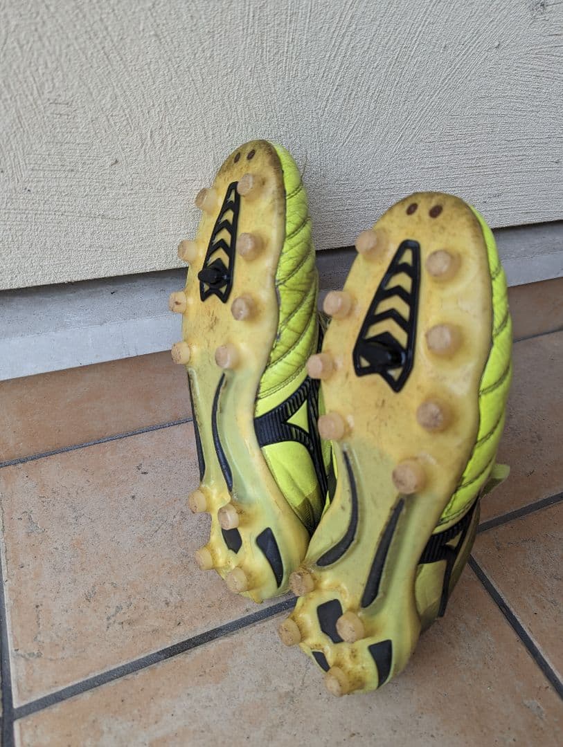 モレリアネオ2 蛍光色