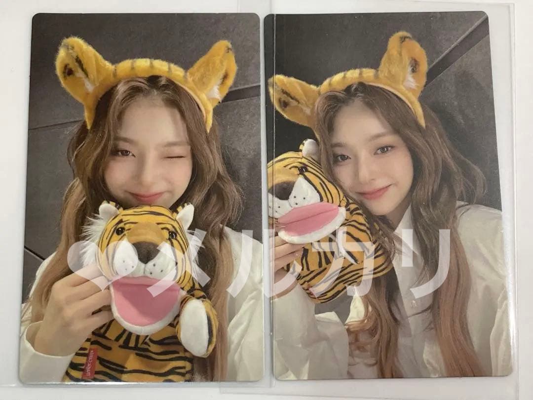 fromis_9 ナギョン トレカ navershopping 特典 虎 限定