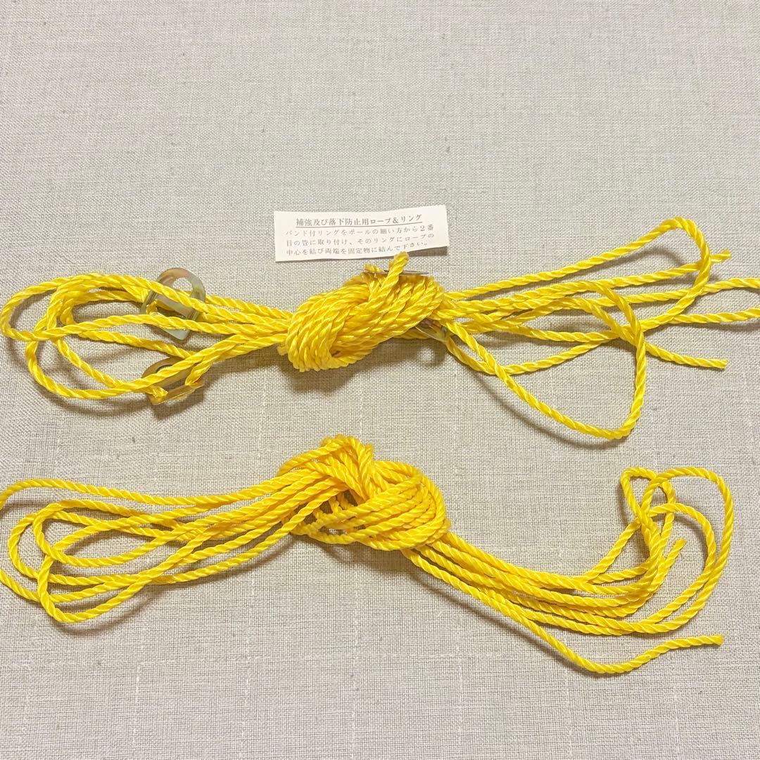 ミッキー・フレンズ 鯉のぼり