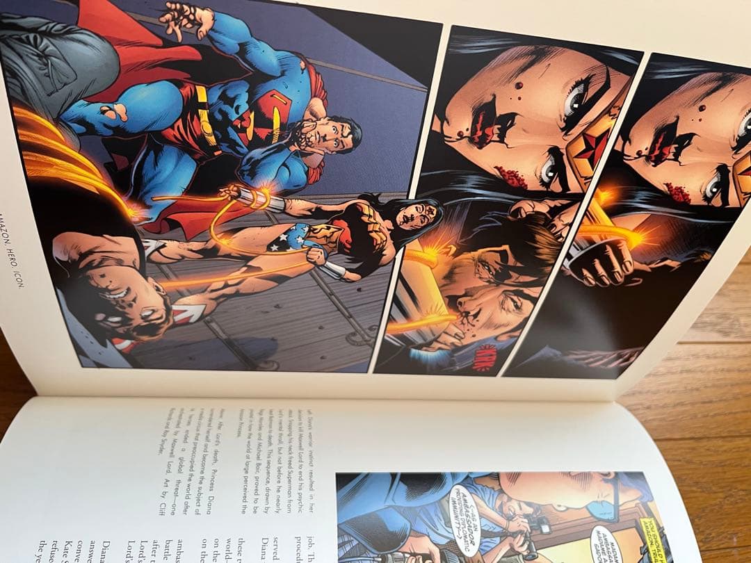 洋書 WONDER WOMAN Amazon Hero Icon