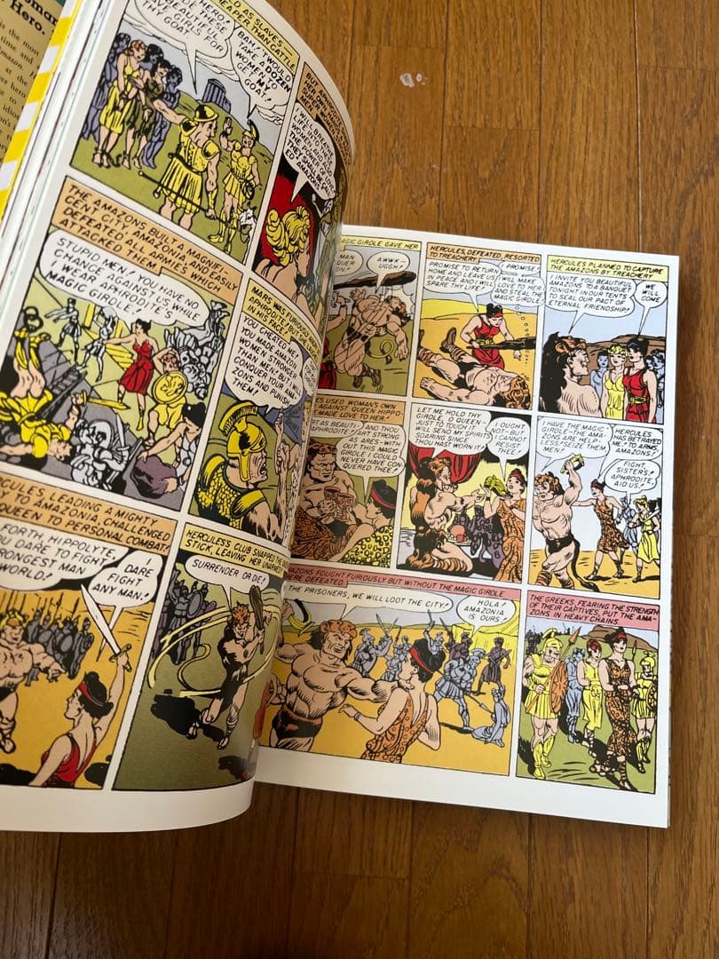 洋書 WONDER WOMAN Amazon Hero Icon