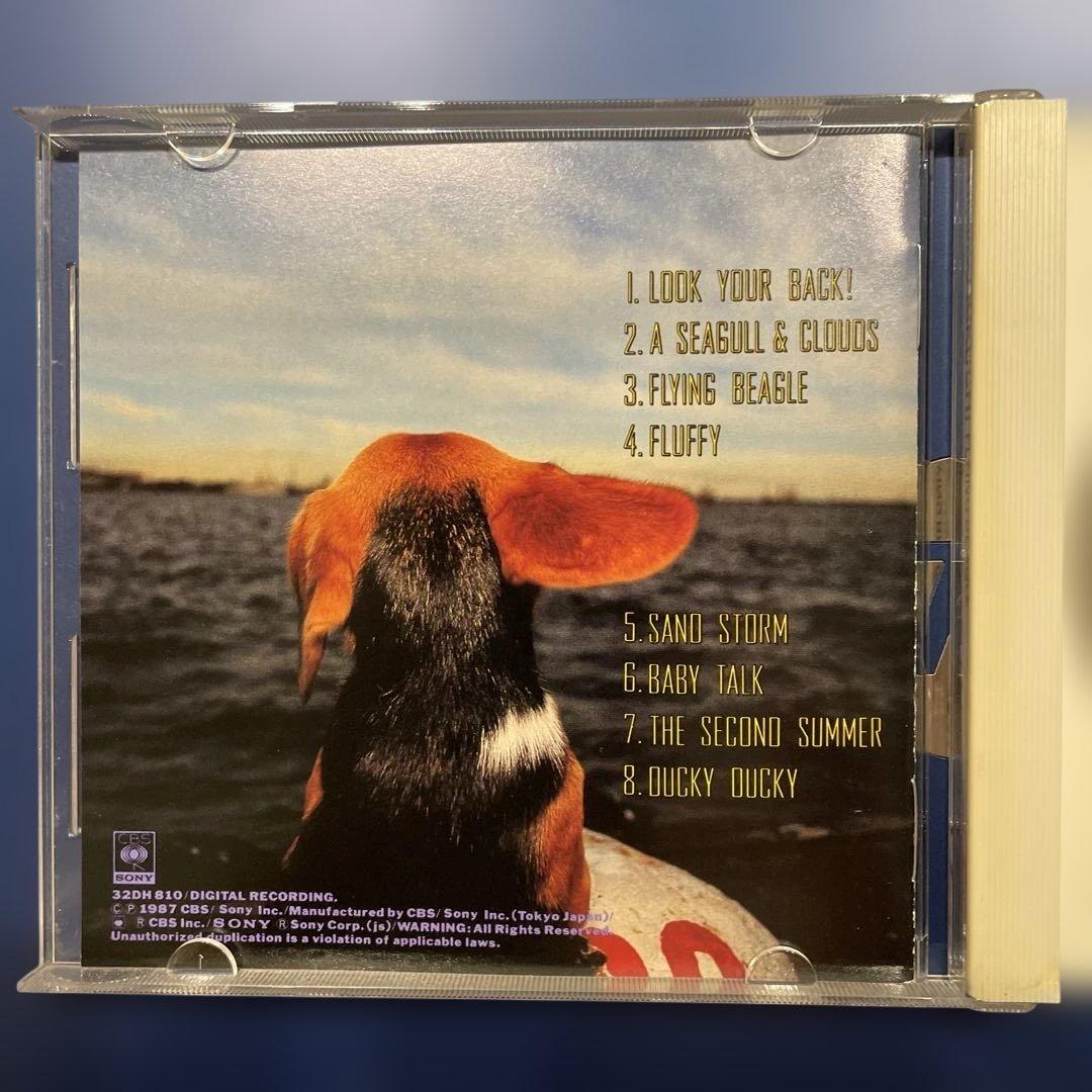 菊池ひみこ　 FLYING BEAGLE フライングビーグル　CD csr刻印