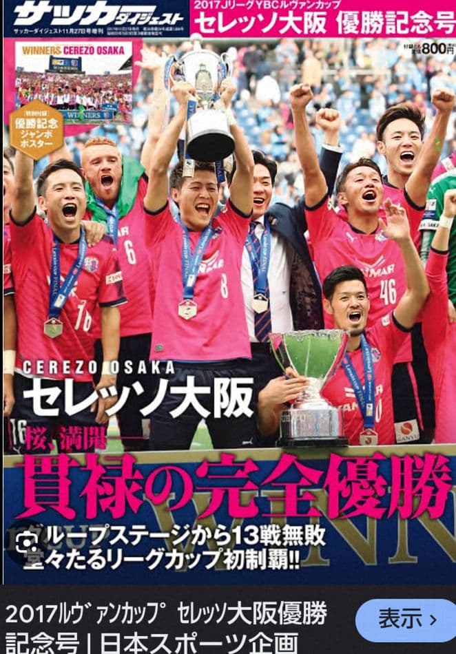 新品　セレッソ大阪　プーマポロシャツ　エプロン　スポーツタオル　3点セット