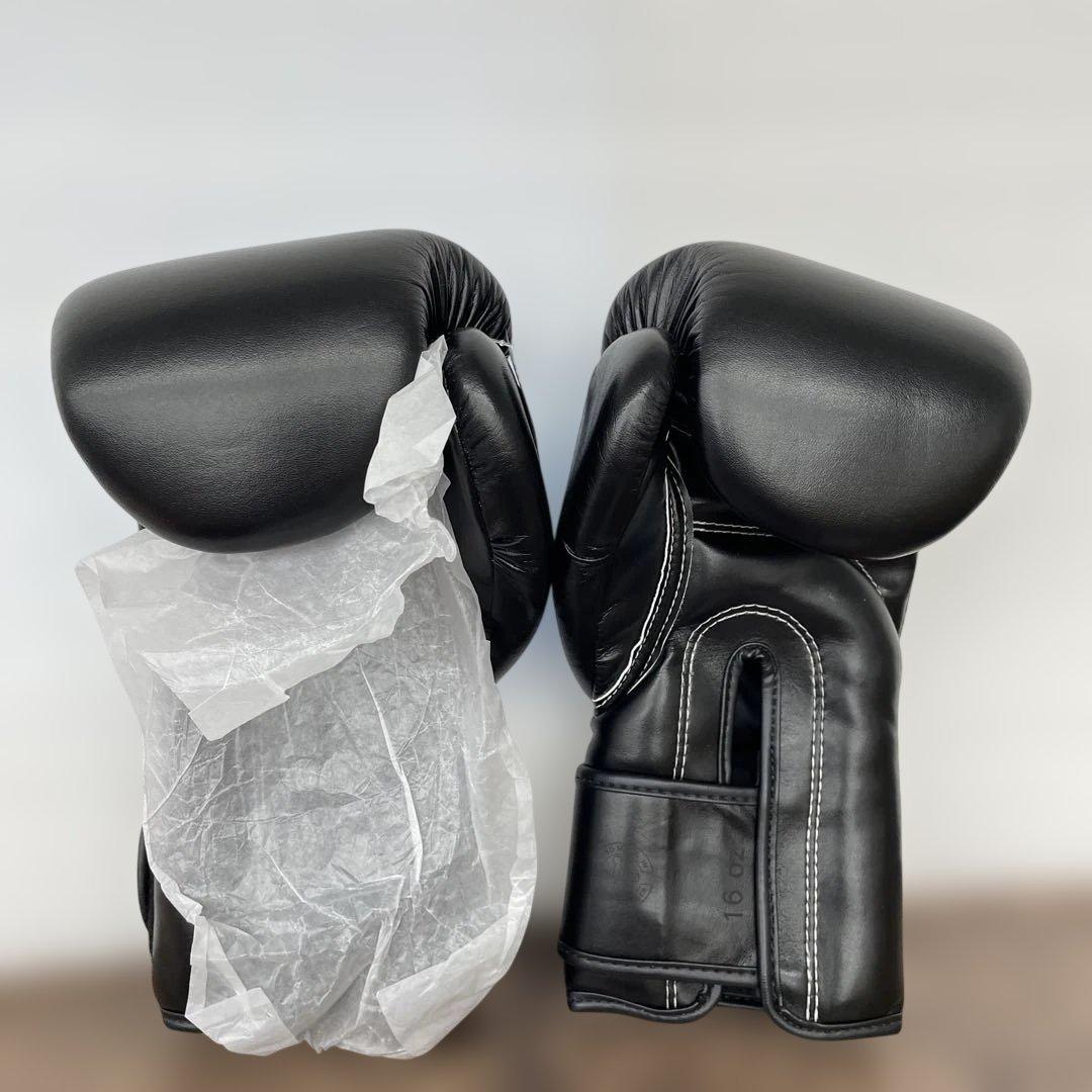 Fairtex ムエタイ ボクシンググローブBGV1 - タイプライド(限定版)