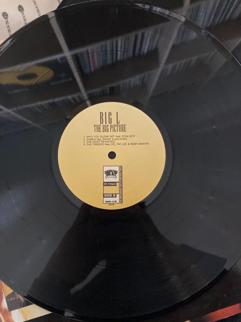 Big L The Big Picture 1999 レコード