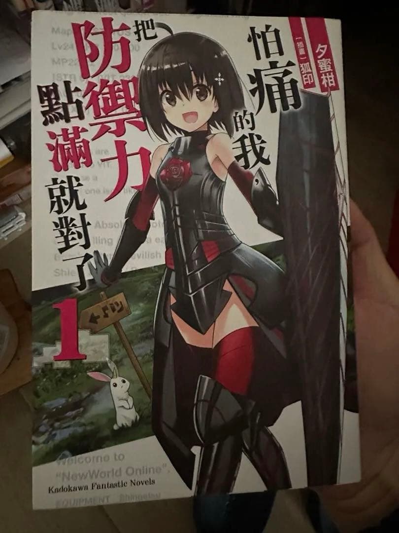 怕痛的我把防御力点满就对了 痛いのは嫌なので防御力に極振りしたいと思います