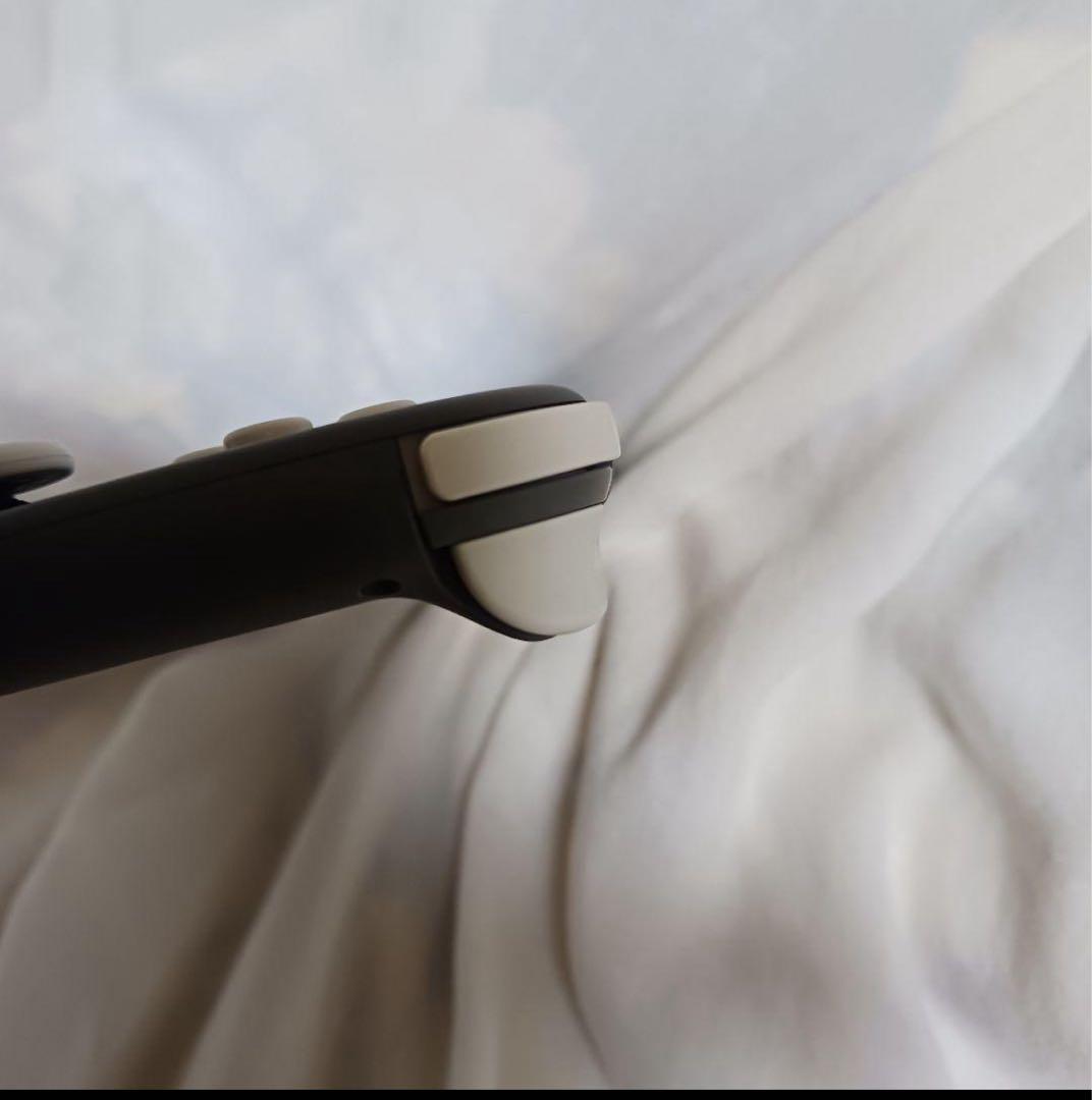 Nintendo Switch Lite 届いてすぐ遊べちゃう❗️