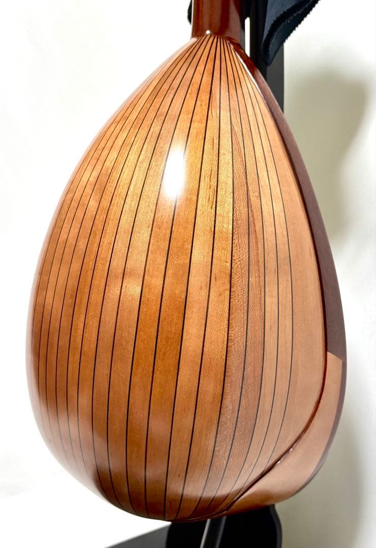 【新品弦張替済】SUZUKI マンドリン M-210 チューナー/ケース