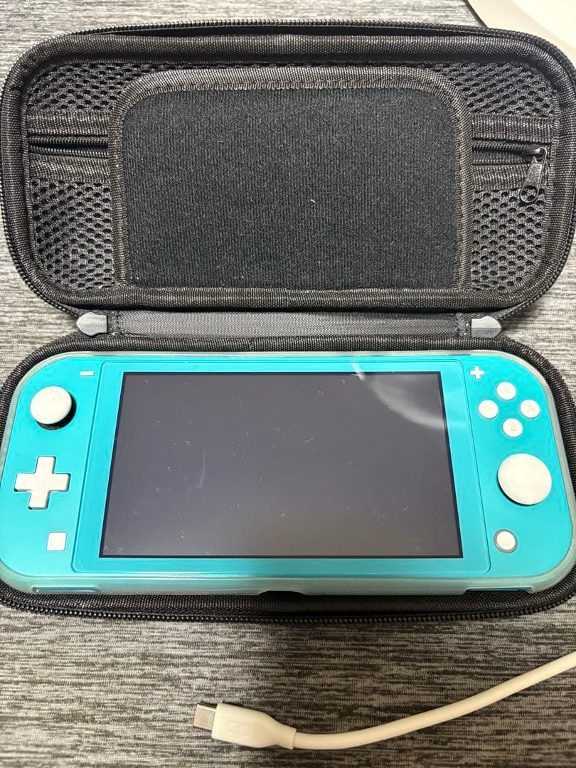 Nintendo Switch Lite /ケース＋本体カバー付き