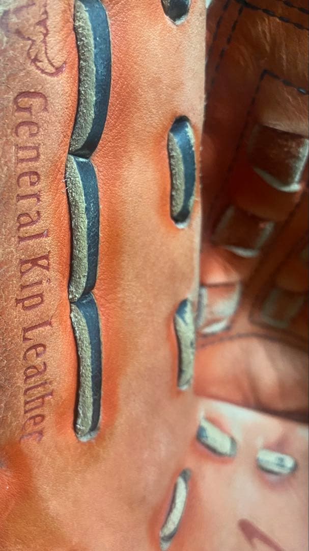 ★人気★ ミズノ 最高級 ミズノプロ グローブ