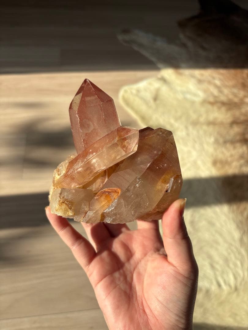 【SALE‼️】希少！　スカーレットテンプルレムリアン