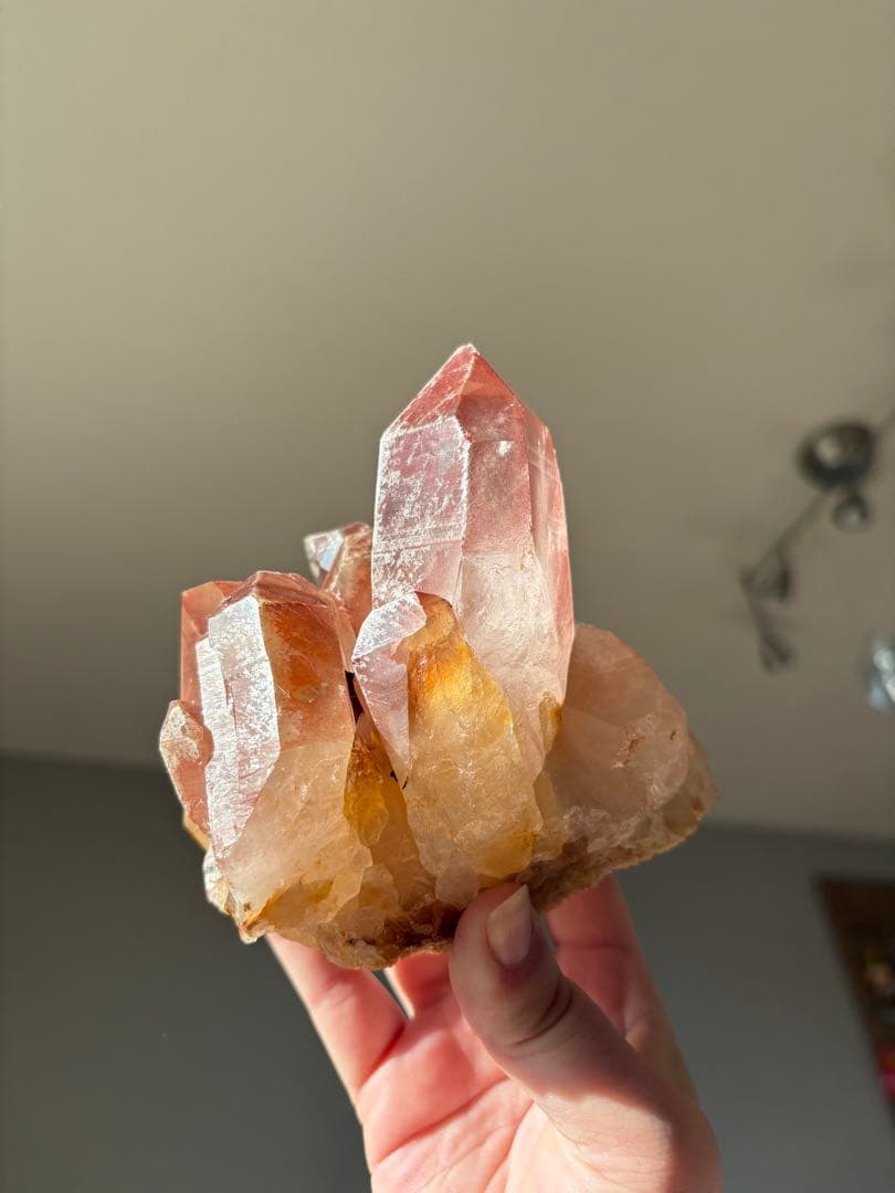 【SALE‼️】希少！　スカーレットテンプルレムリアン