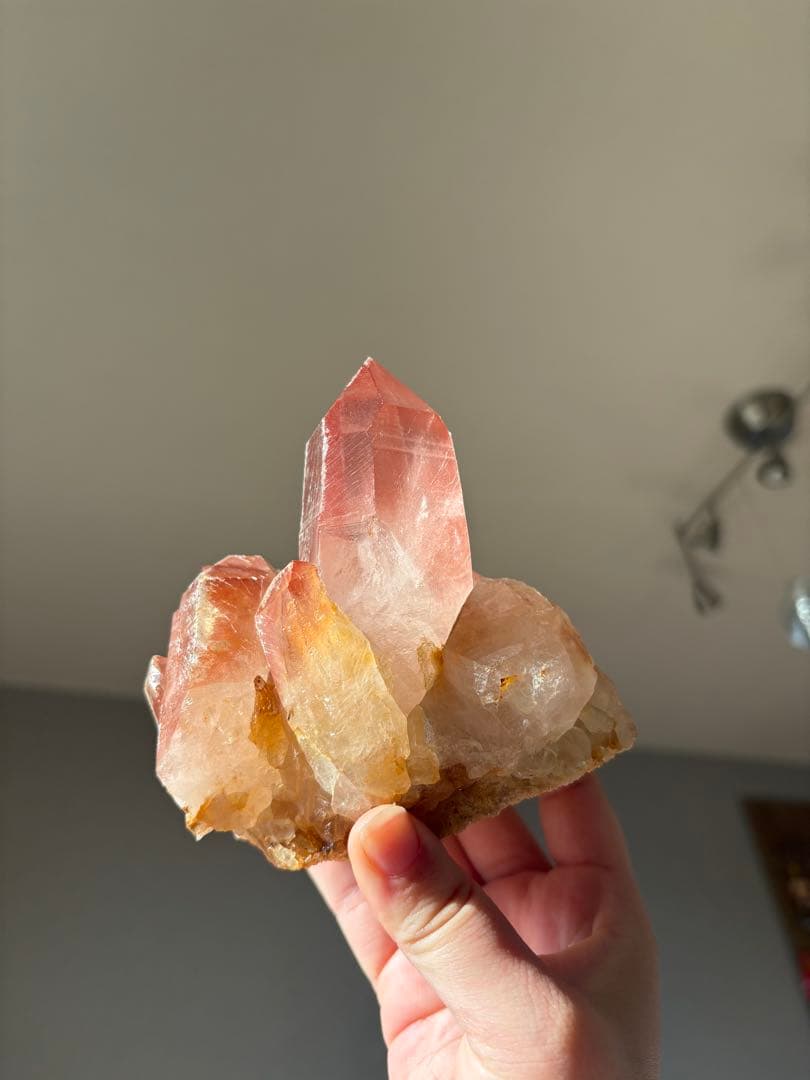 【SALE‼️】希少！　スカーレットテンプルレムリアン