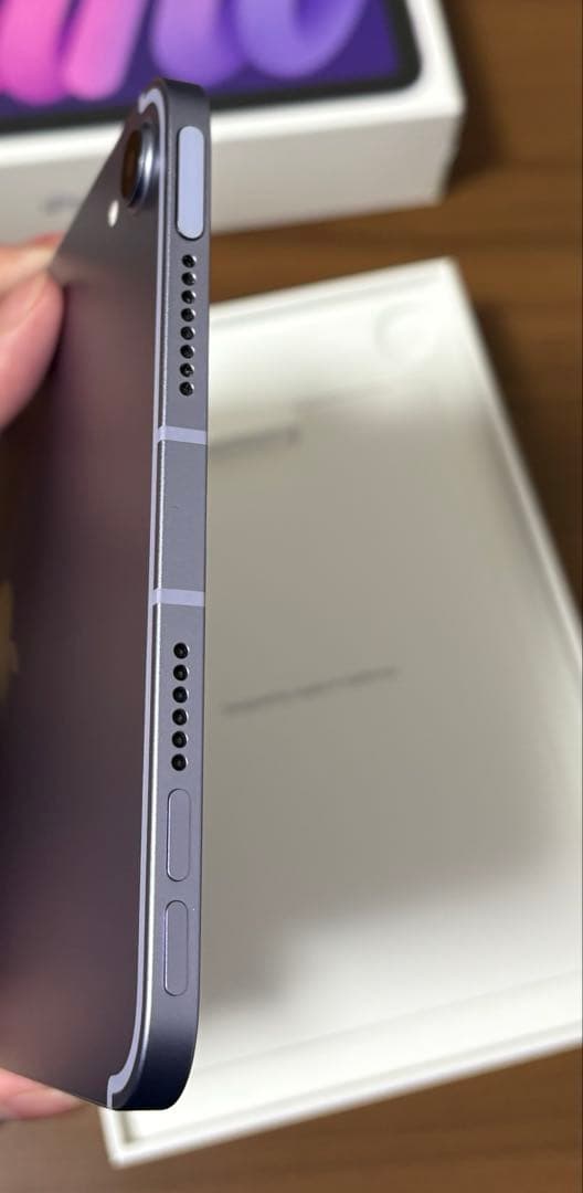 iPad本体 Apple iPad mini Wi-Fi+Cellular 256GB