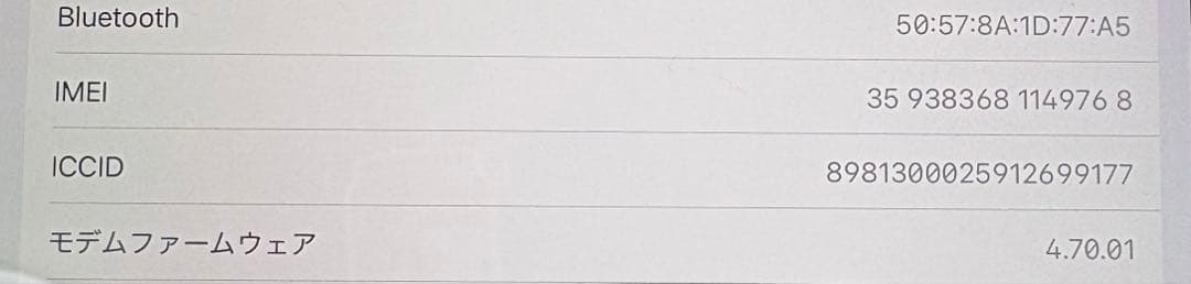 iPad本体 Apple iPad mini Wi-Fi+Cellular 256GB