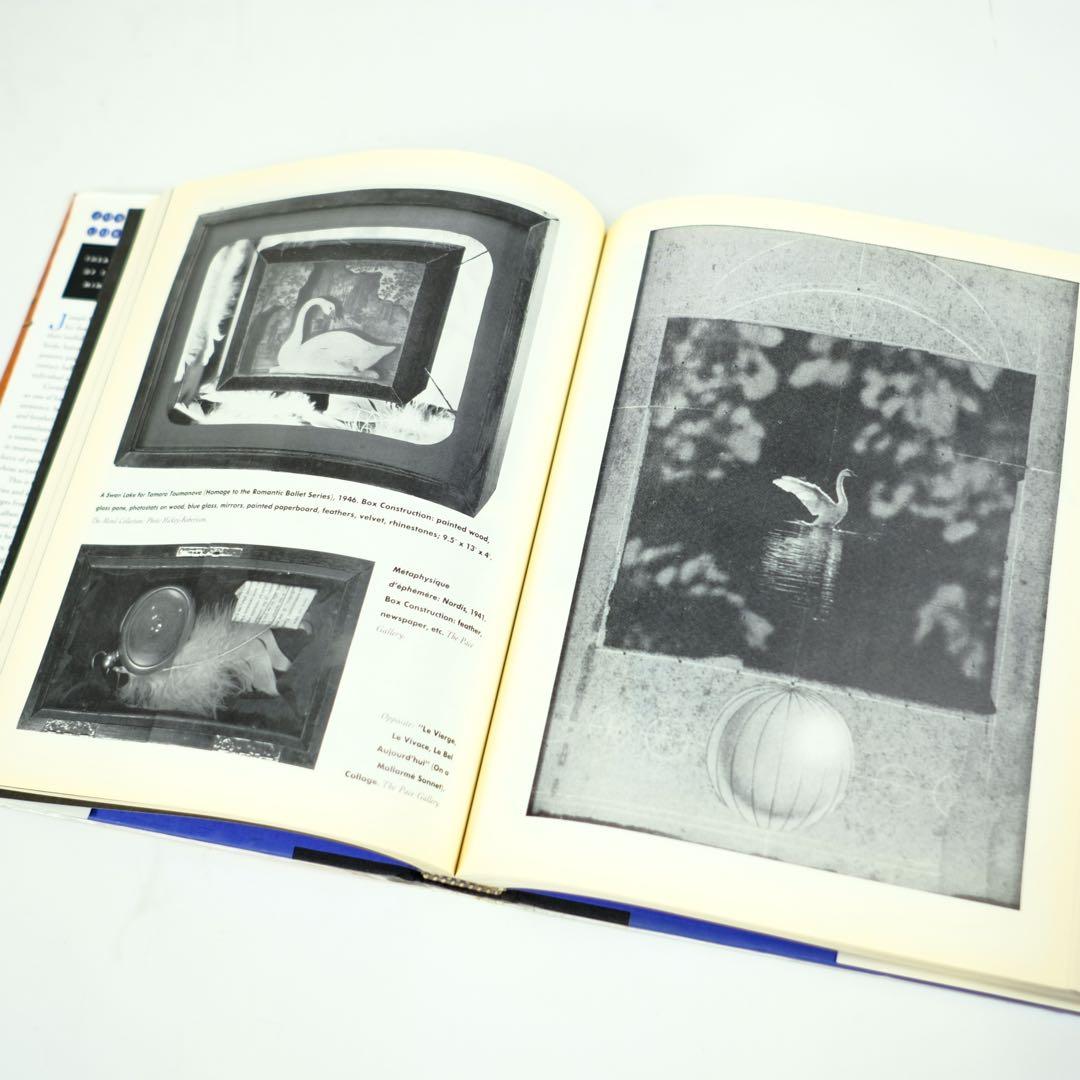 JOSEPH CORNELL THEATER OF THE MIND 作品集