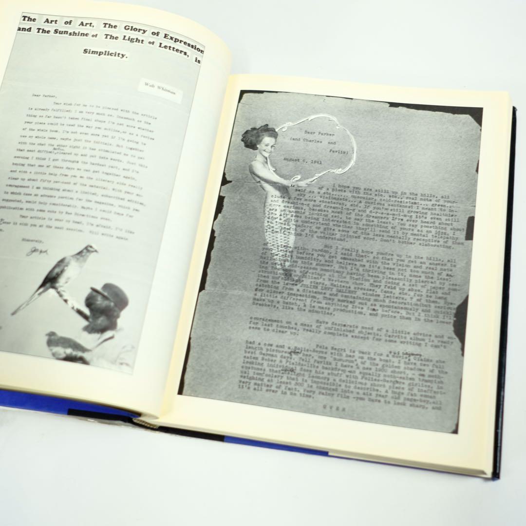 JOSEPH CORNELL THEATER OF THE MIND 作品集