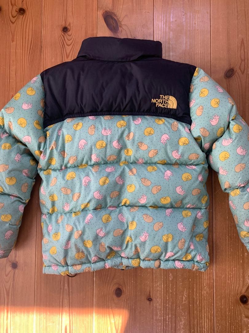 【お値下げ】THE NORTH FACE ミナペルホネン　ダウンジャケットねこ柄
